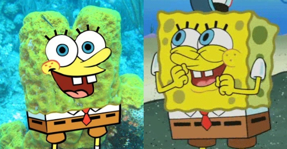 Detail Pictures Of Spongebob Squarepants Characters Nomer 53