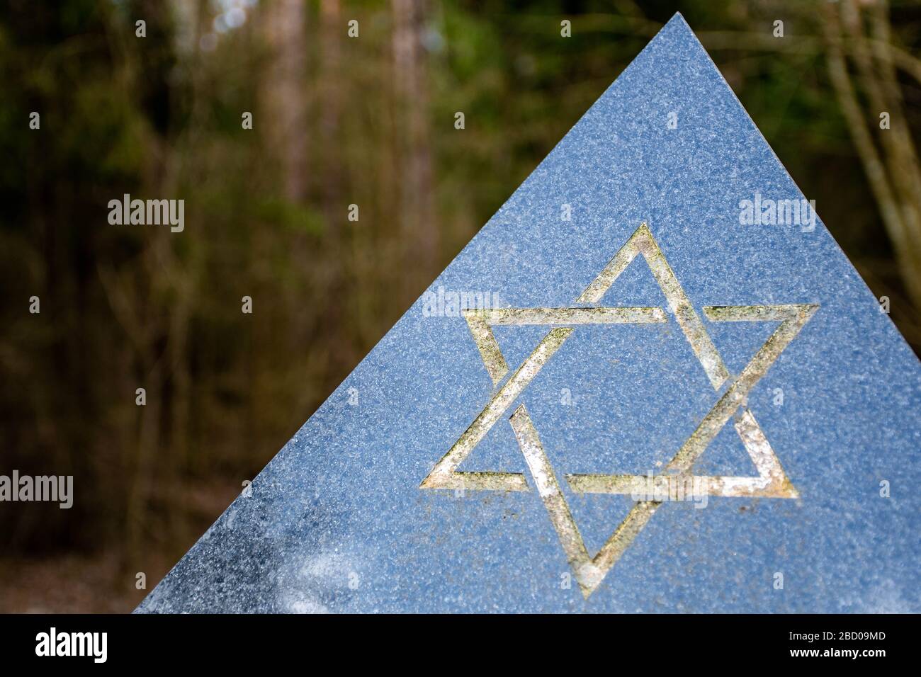 Detail Pictures Of Star Of David Nomer 43