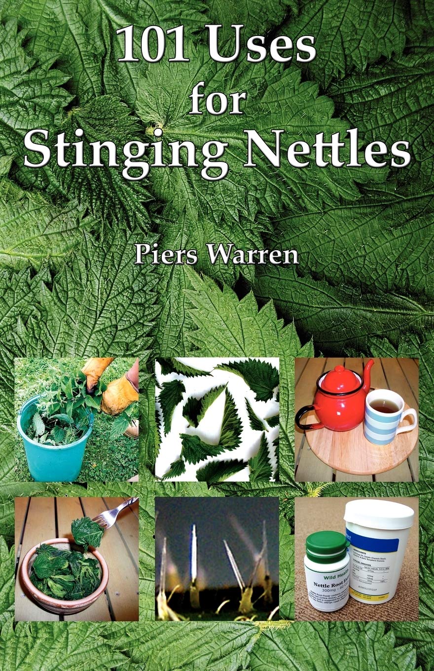 Detail Pictures Of Stinging Nettles Nomer 41