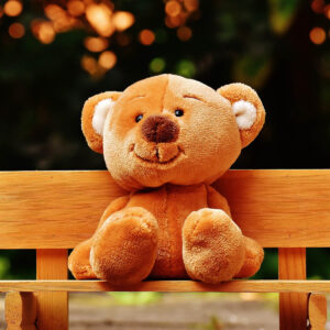 Detail Pictures Of Teddies Nomer 21