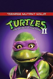 Detail Pictures Of Teenage Mutant Ninja Turtles Nomer 50