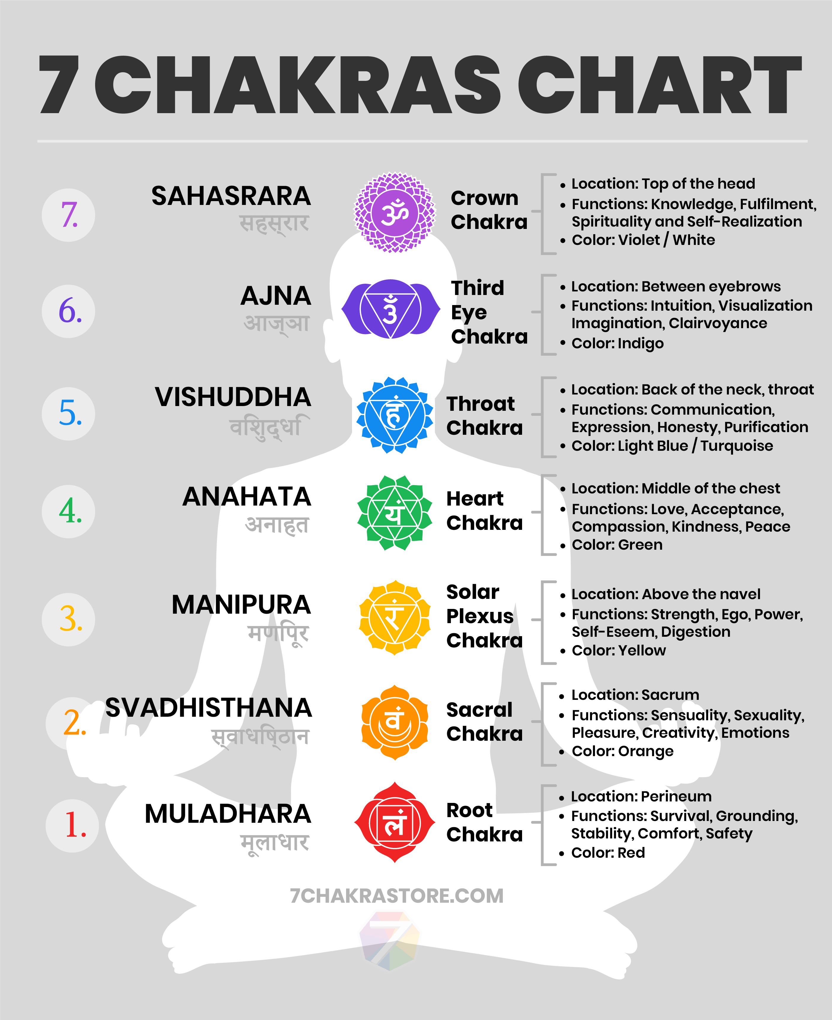 Detail Pictures Of The Chakras Nomer 17