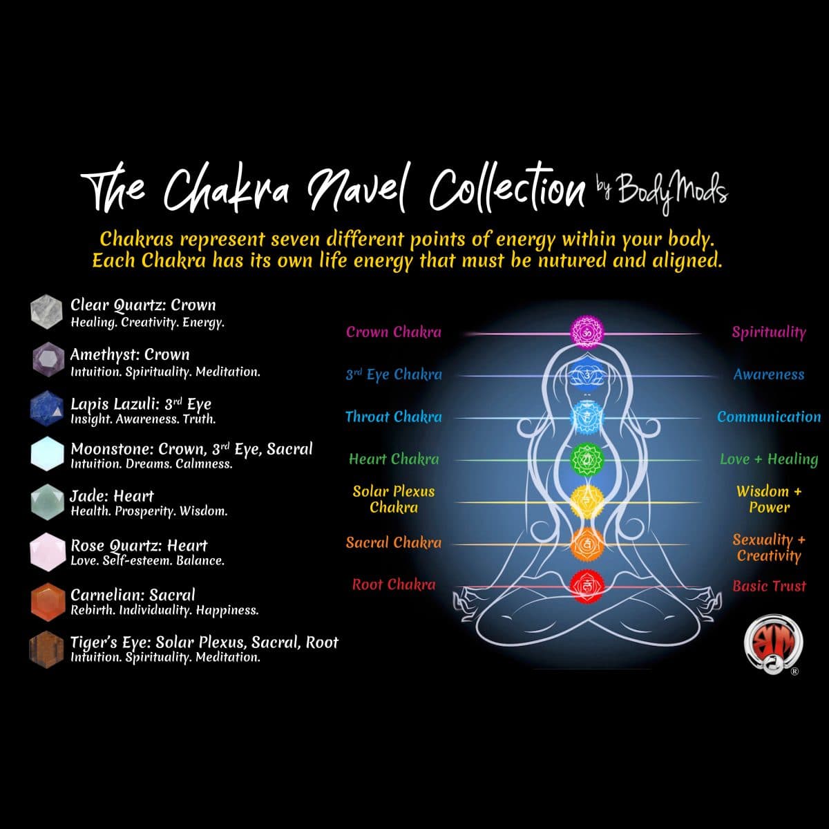 Detail Pictures Of The Chakras Nomer 41