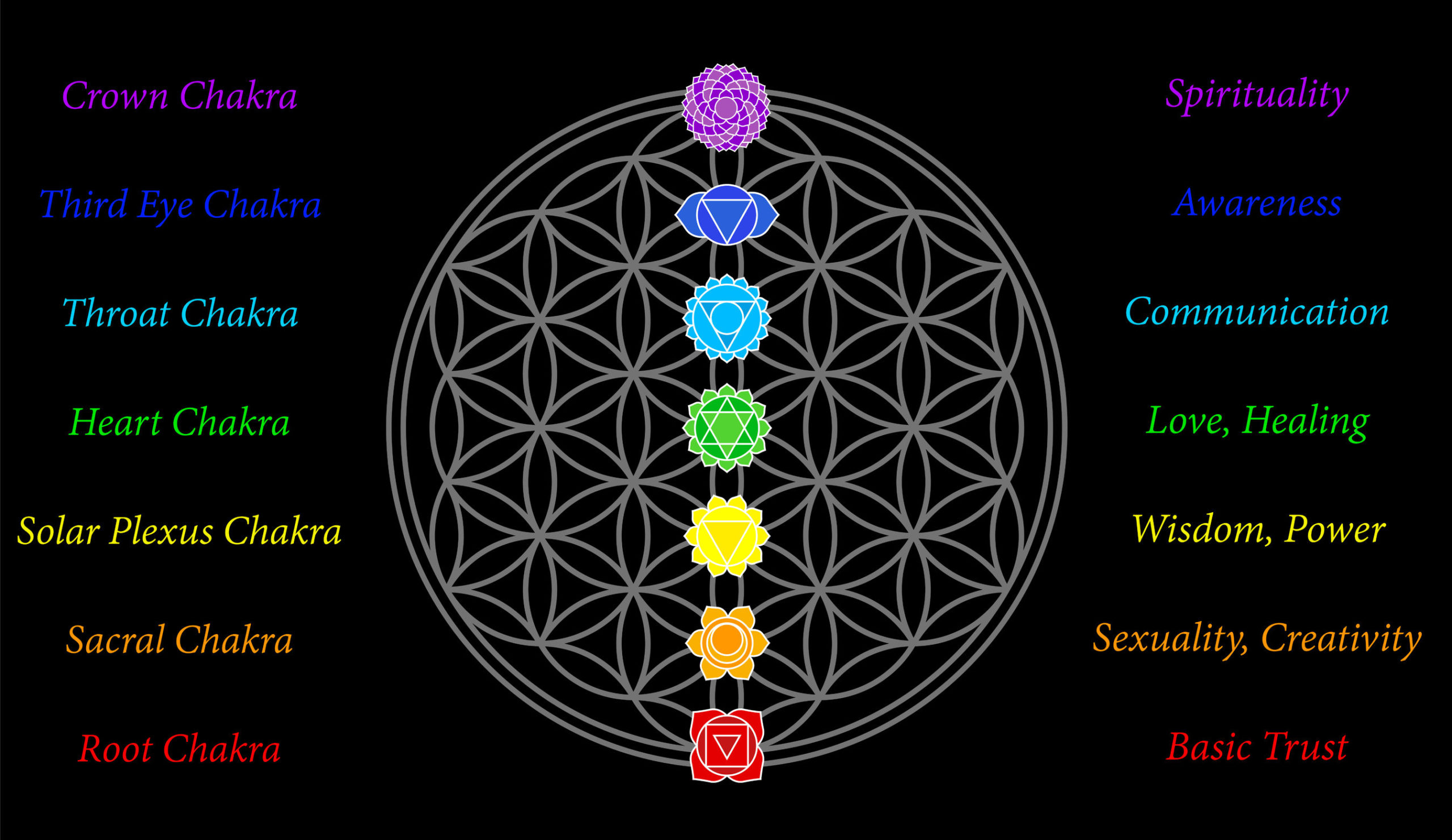 Detail Pictures Of The Chakras Nomer 49