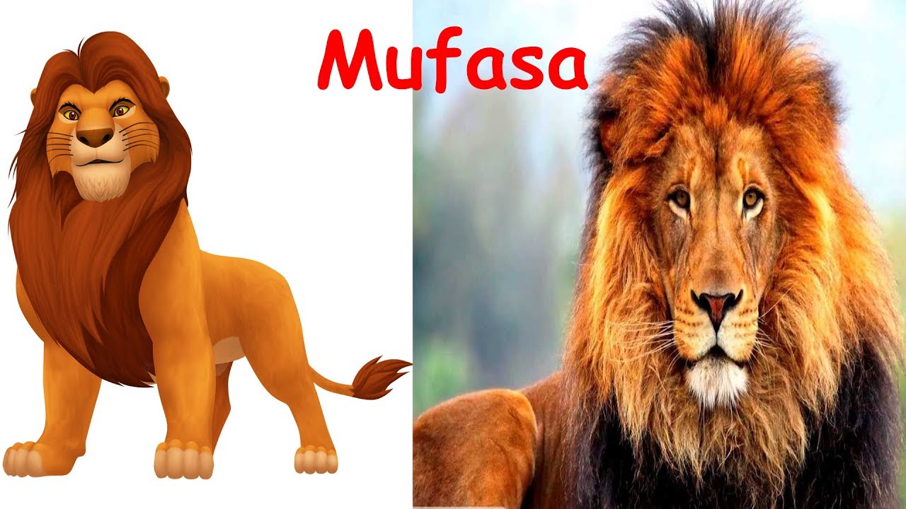 Detail Pictures Of The Lion King Characters Nomer 19