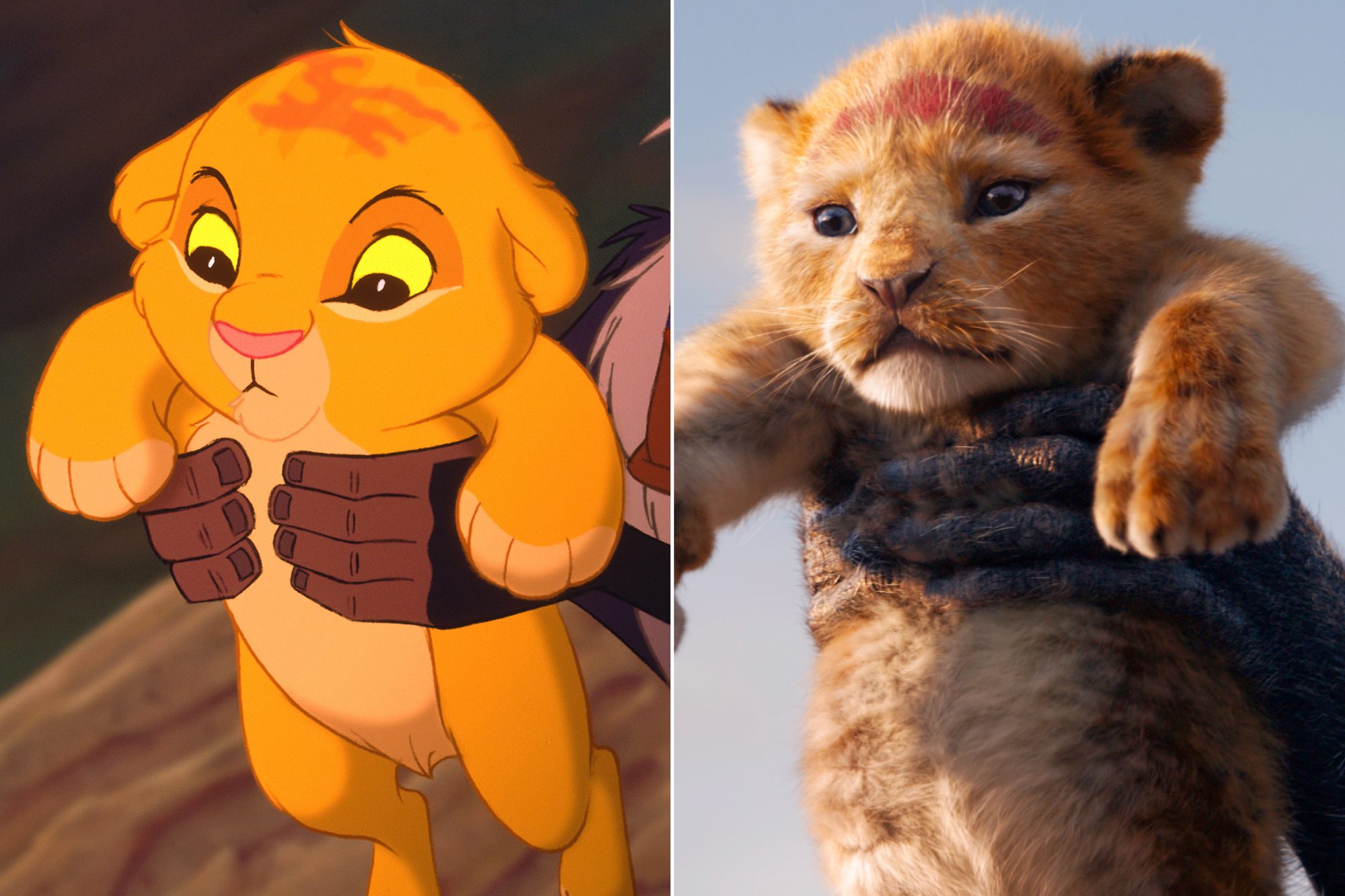 Detail Pictures Of The Lion King Characters Nomer 3