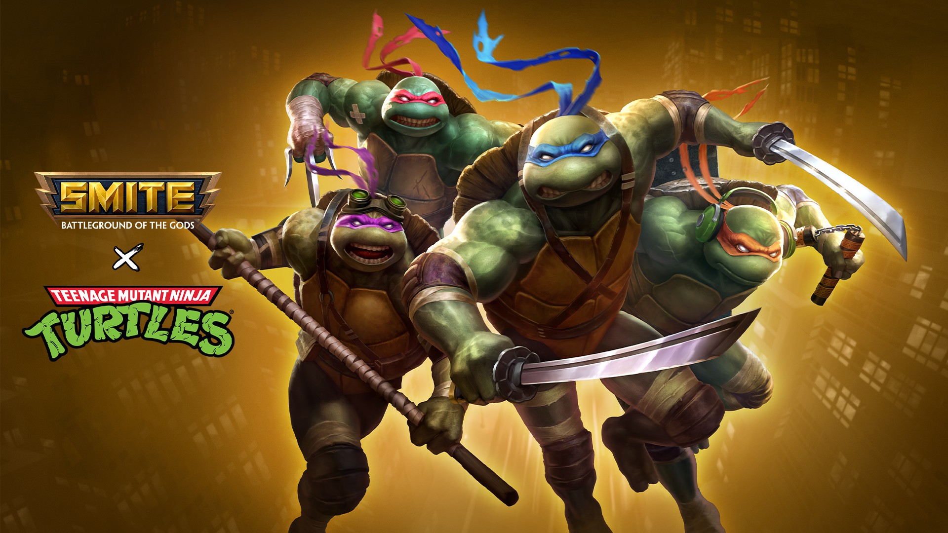 Detail Pictures Of The Ninja Turtles Nomer 5