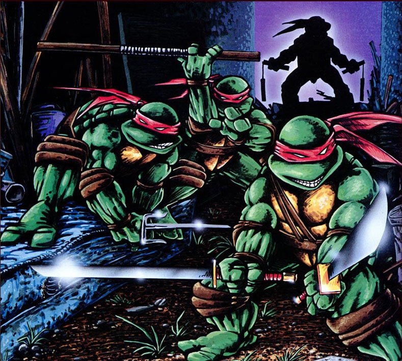 Detail Pictures Of The Ninja Turtles Nomer 10