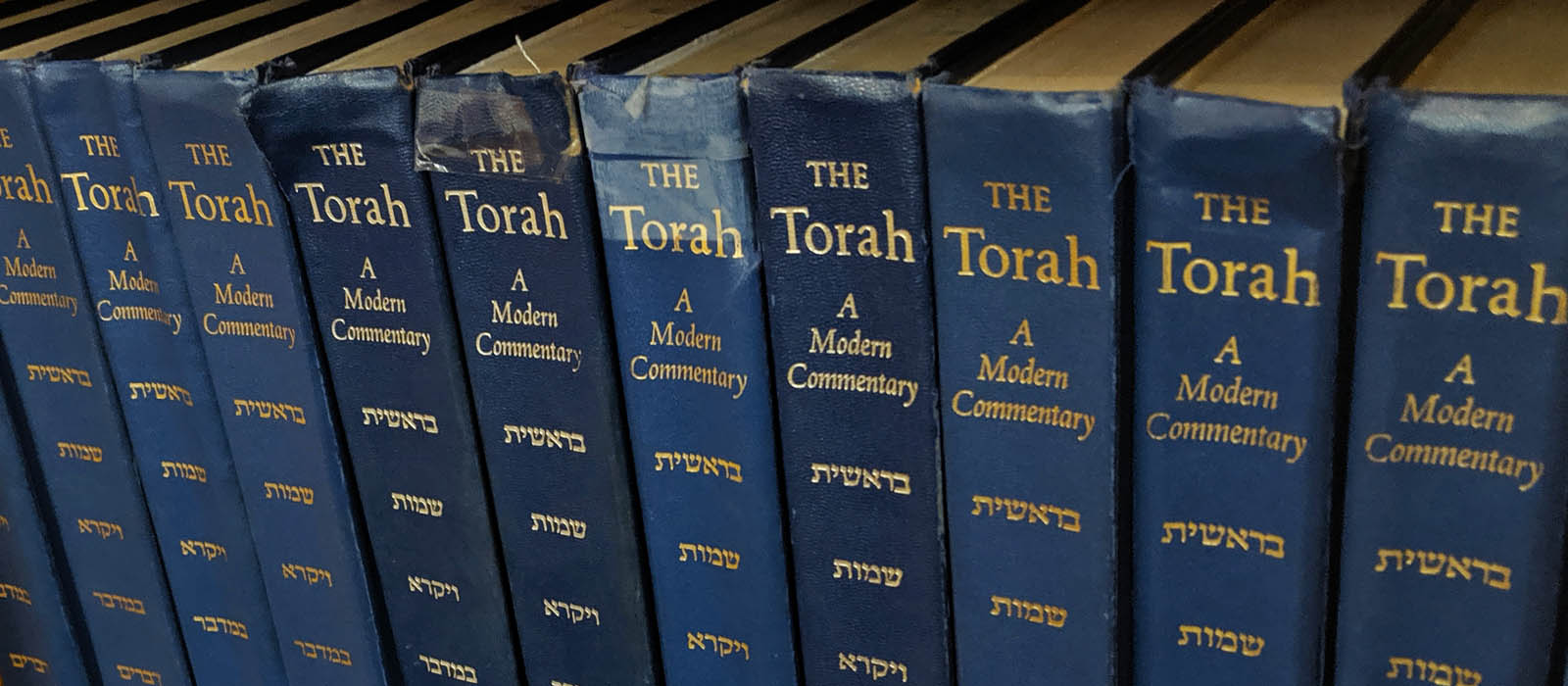 Detail Pictures Of The Torah Nomer 32