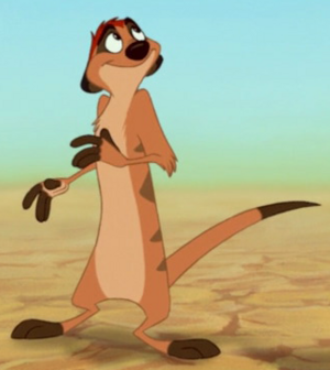 Detail Pictures Of Timon From Lion King Nomer 2