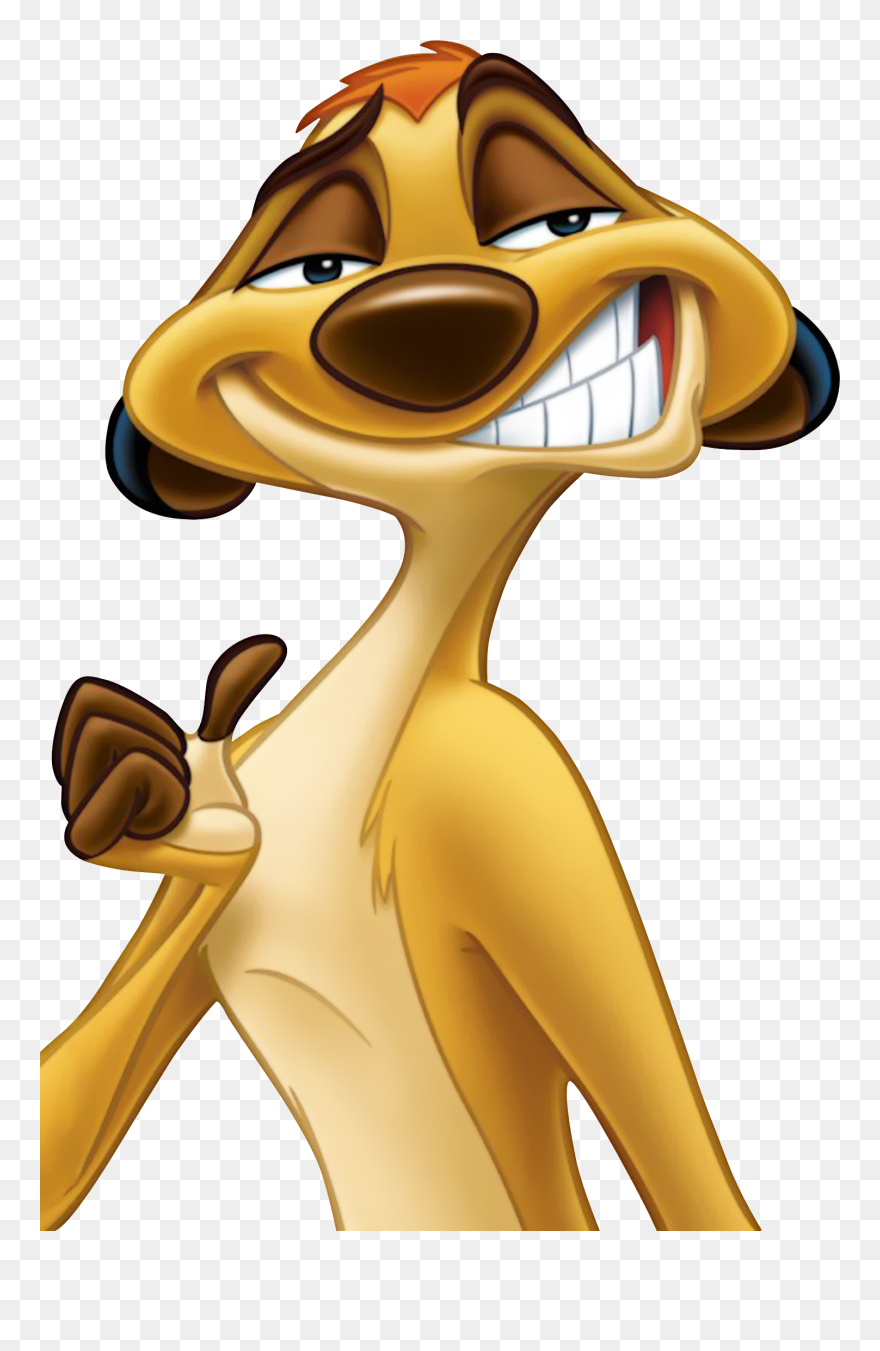 Detail Pictures Of Timon From Lion King Nomer 12