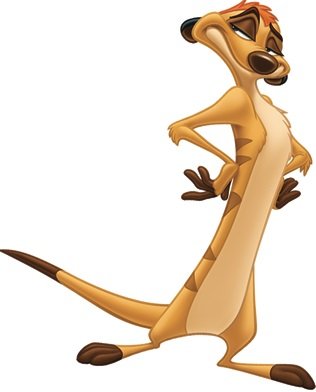 Detail Pictures Of Timon From Lion King Nomer 18