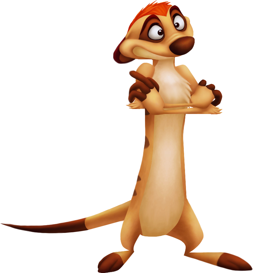 Detail Pictures Of Timon From Lion King Nomer 3