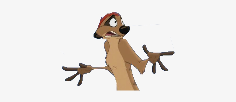 Detail Pictures Of Timon From Lion King Nomer 42