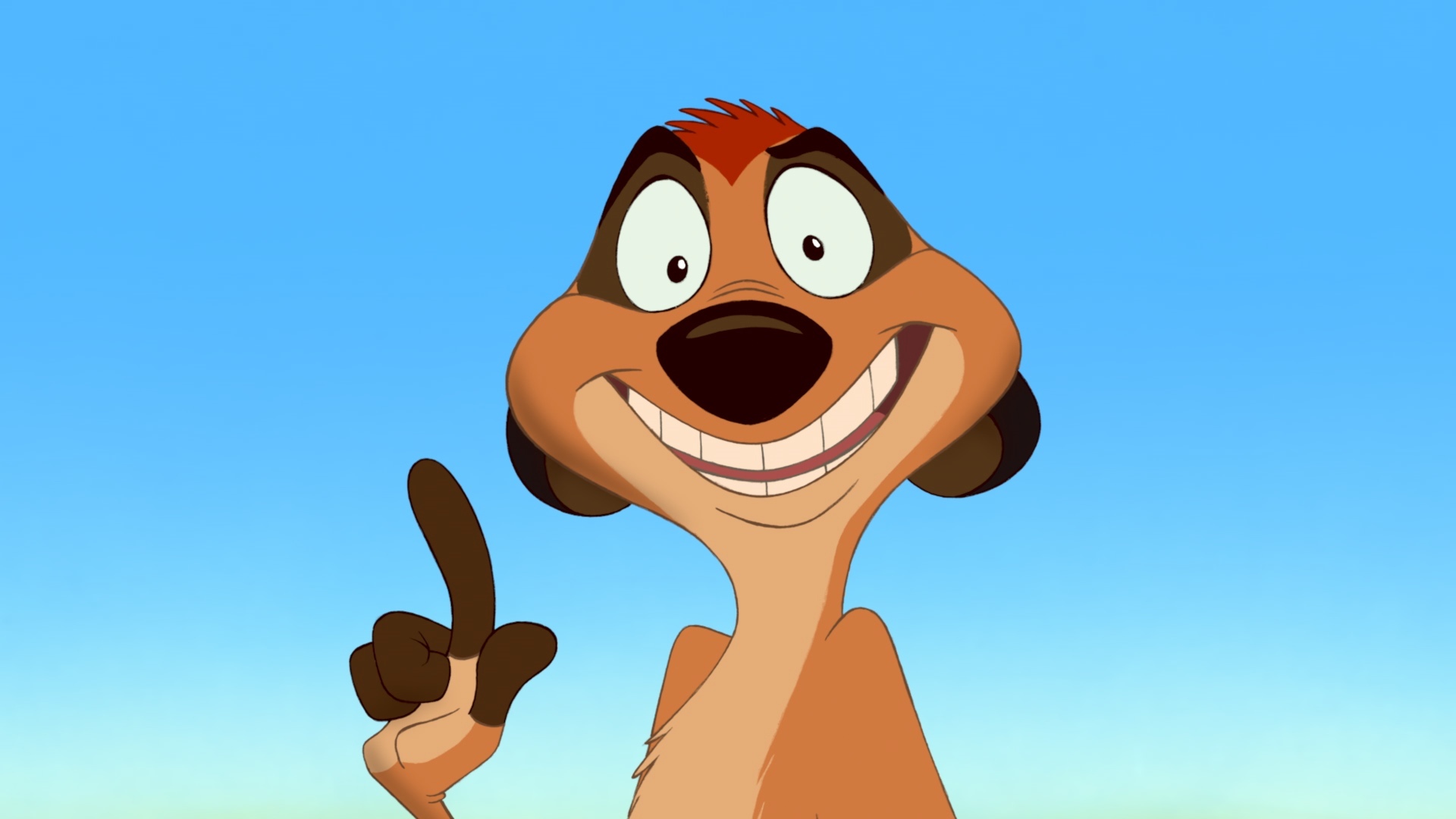 Detail Pictures Of Timon From Lion King Nomer 9