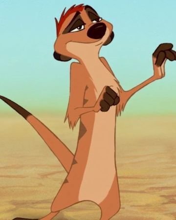 Detail Pictures Of Timon From Lion King Nomer 10