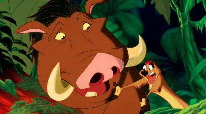 Detail Pictures Of Timon From The Lion King Nomer 30