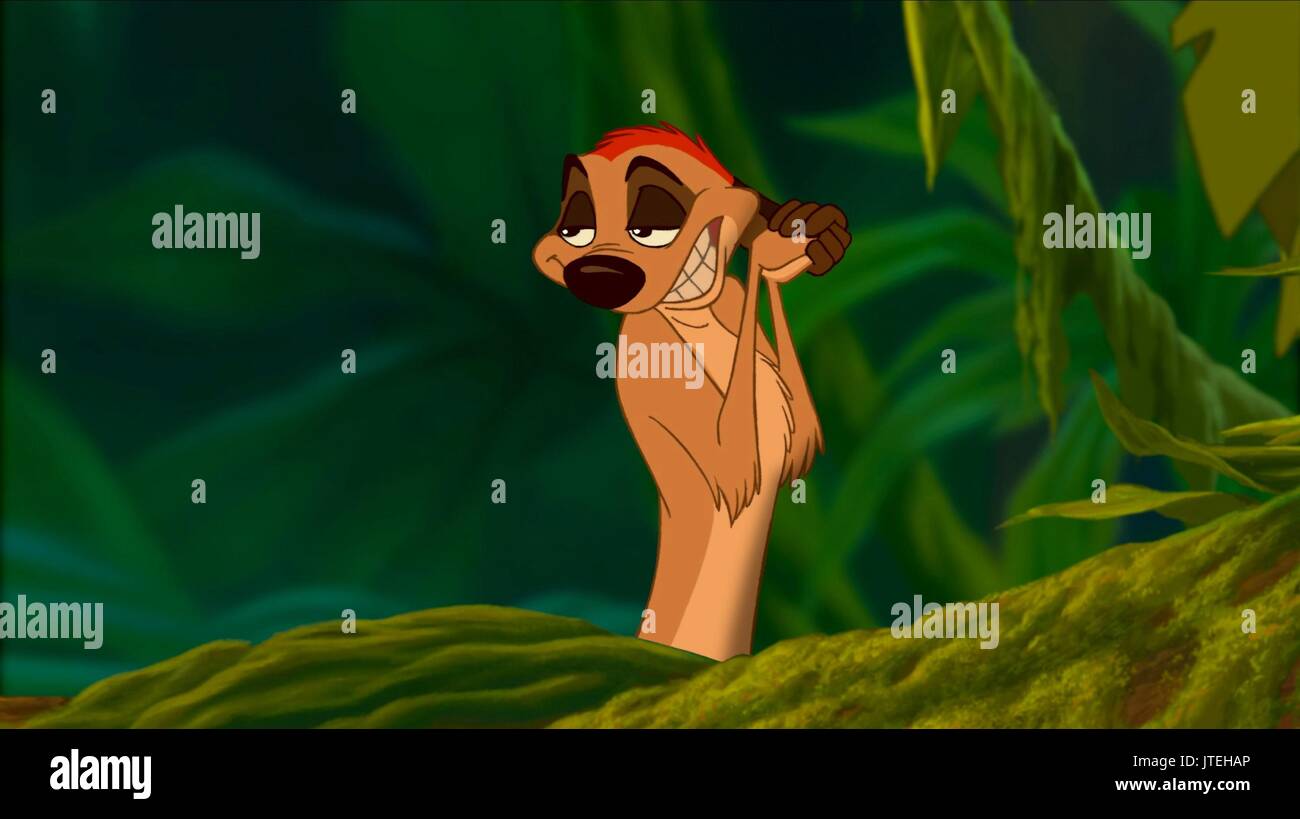 Detail Pictures Of Timon From The Lion King Nomer 50