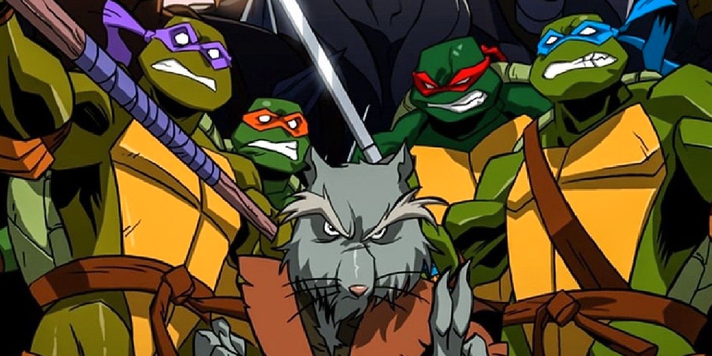 Detail Pictures Of Tmnt Nomer 12