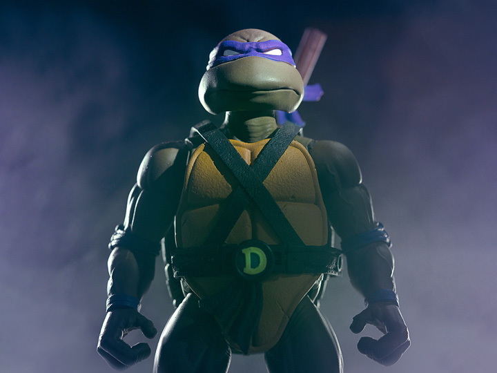 Detail Pictures Of Tmnt Nomer 9