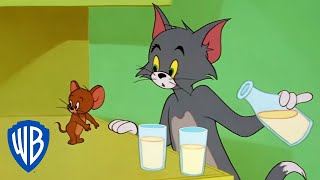 Detail Pictures Of Tom From Tom And Jerry Nomer 26