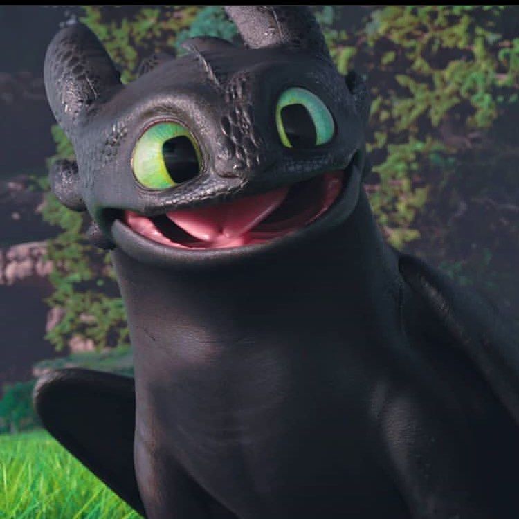 Detail Pictures Of Toothless The Dragon Nomer 27