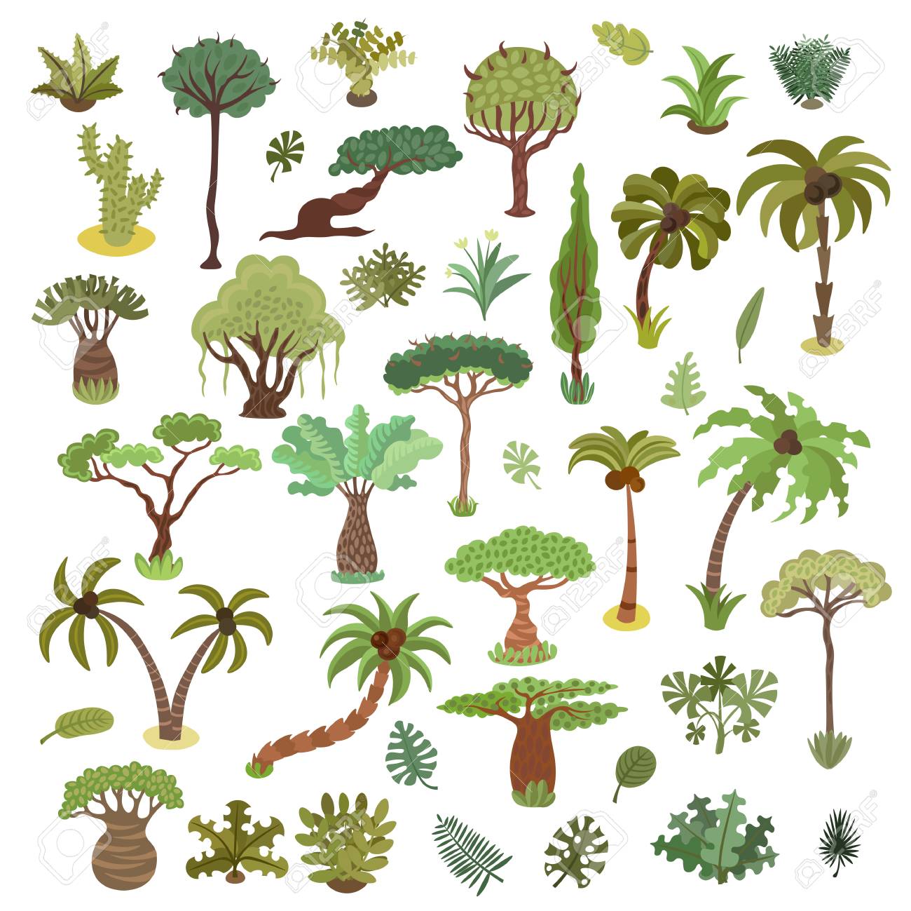 Detail Pictures Of Tropical Trees Nomer 4