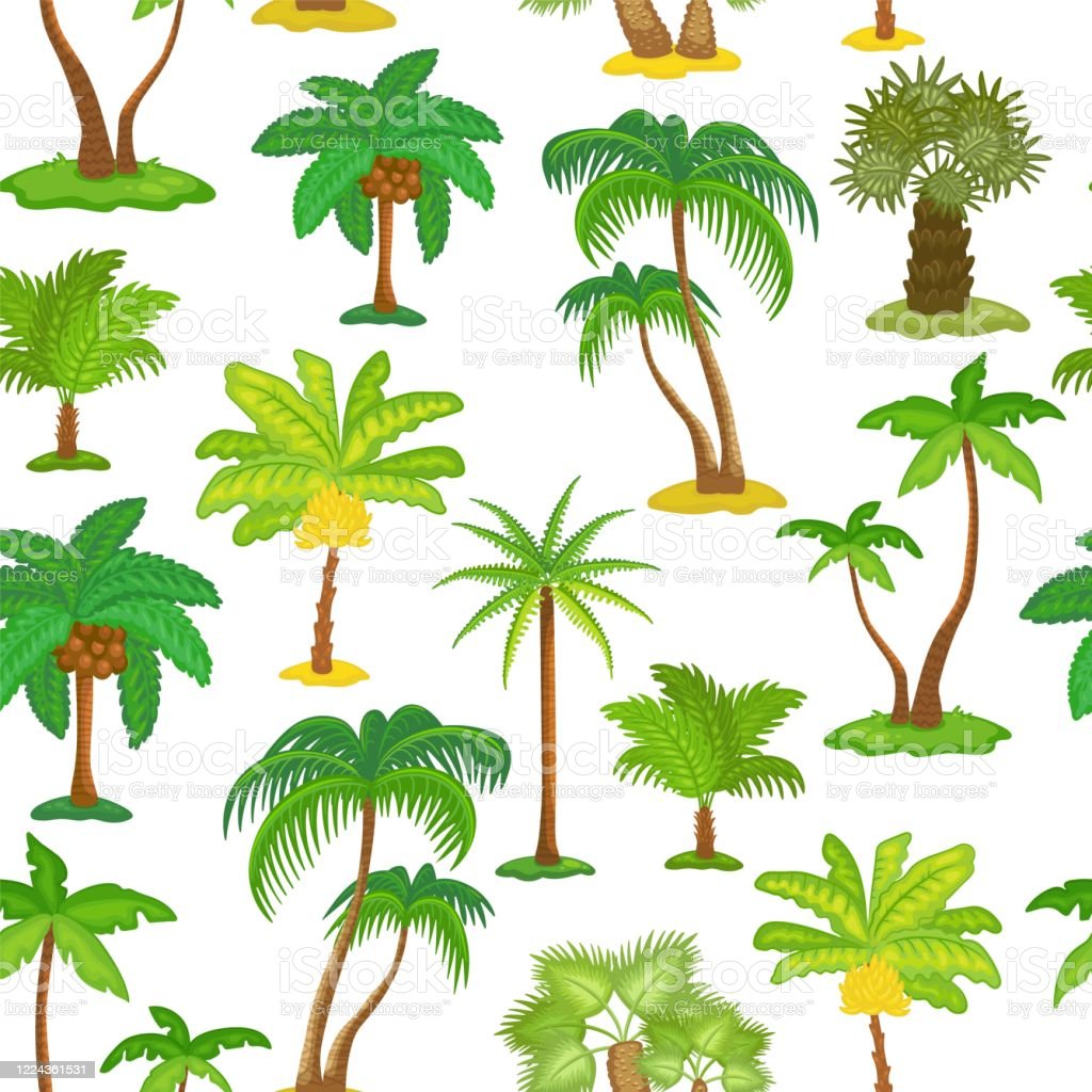 Detail Pictures Of Tropical Trees Nomer 31
