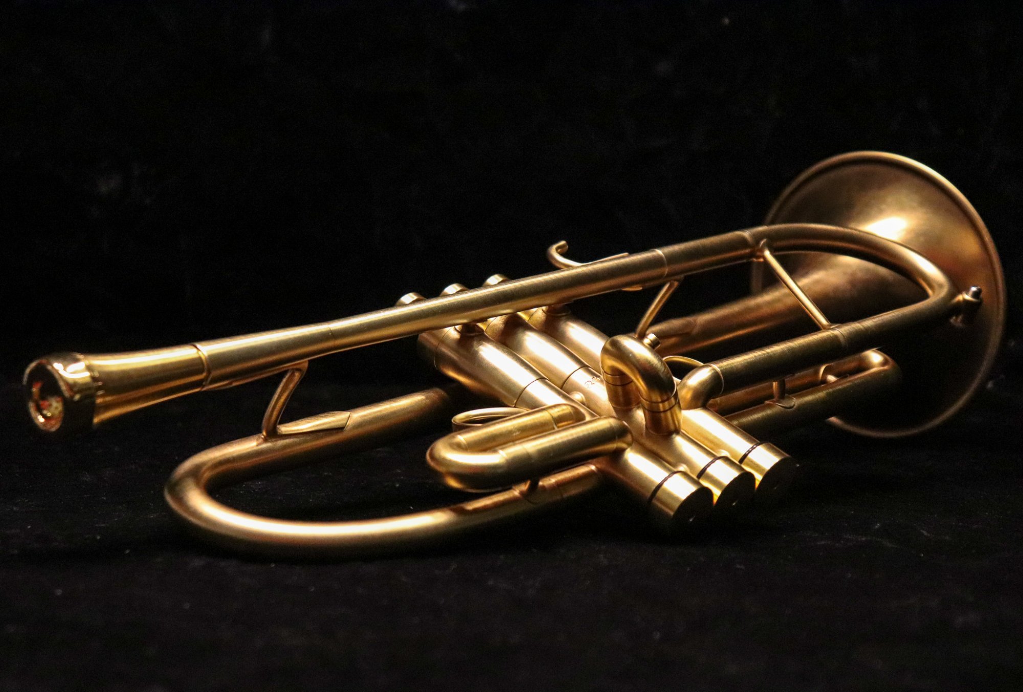 Detail Pictures Of Trumpets Nomer 38