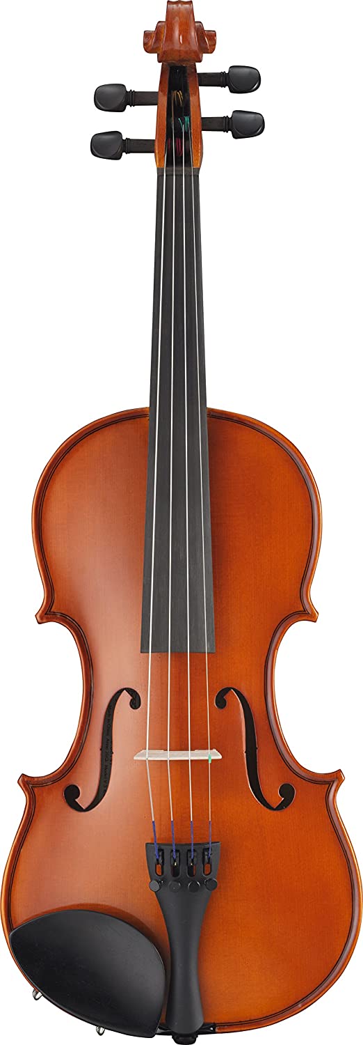 Detail Pictures Of Violin Nomer 39