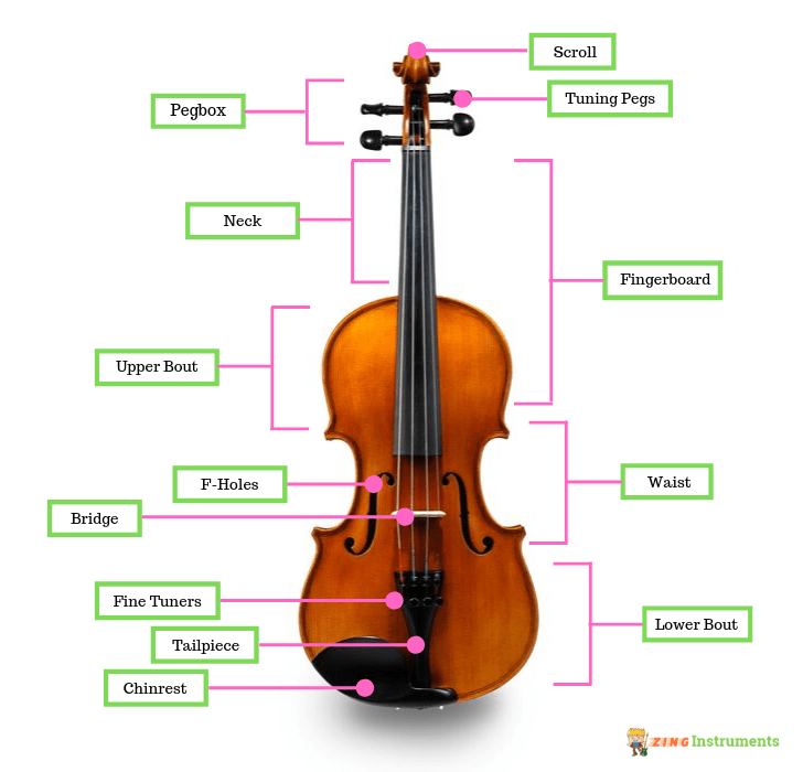 Detail Pictures Of Violin Nomer 47