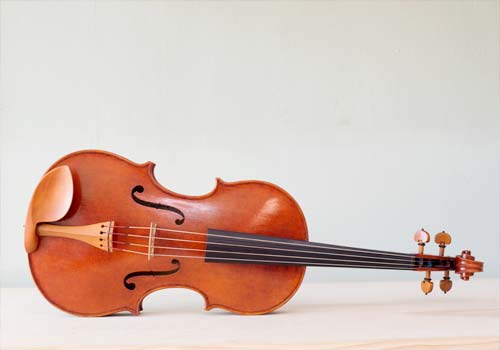 Detail Pictures Of Violins Nomer 24