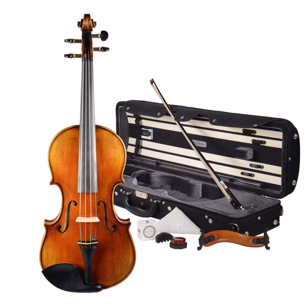 Detail Pictures Of Violins Nomer 26