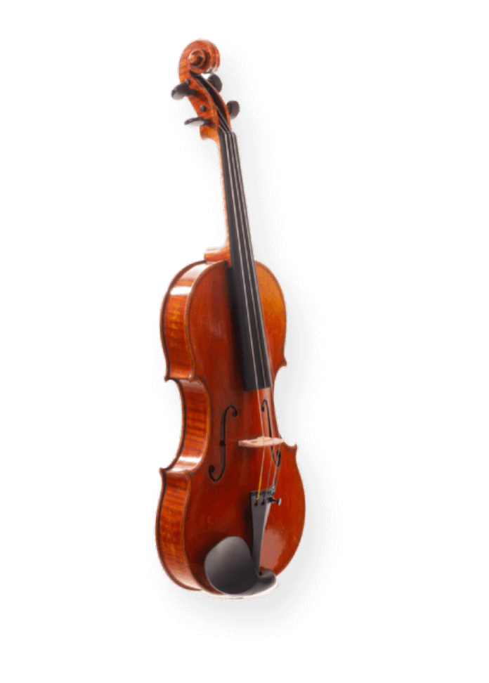 Detail Pictures Of Violins Nomer 7