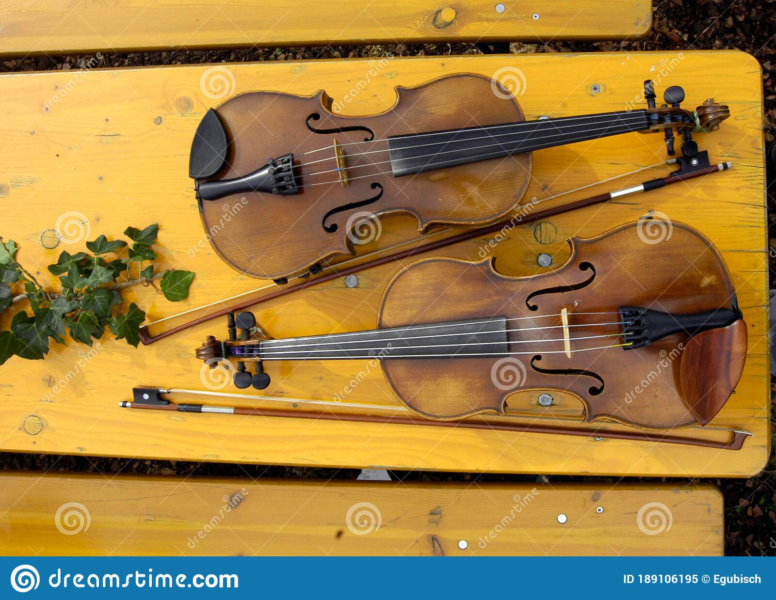 Detail Pictures Of Violins And Bows Nomer 20