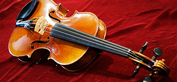 Detail Pictures Of Violins And Bows Nomer 9