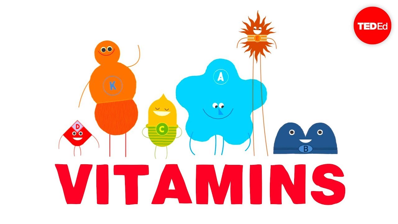 Detail Pictures Of Vitamins A Nomer 16