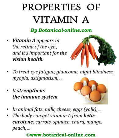 Detail Pictures Of Vitamins A Nomer 42