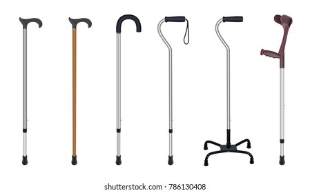 Detail Pictures Of Walking Stick Nomer 23