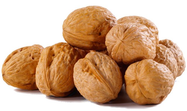 Detail Pictures Of Walnuts Nomer 11