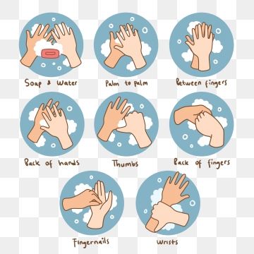 Detail Pictures Of Washing Hands Clipart Nomer 35