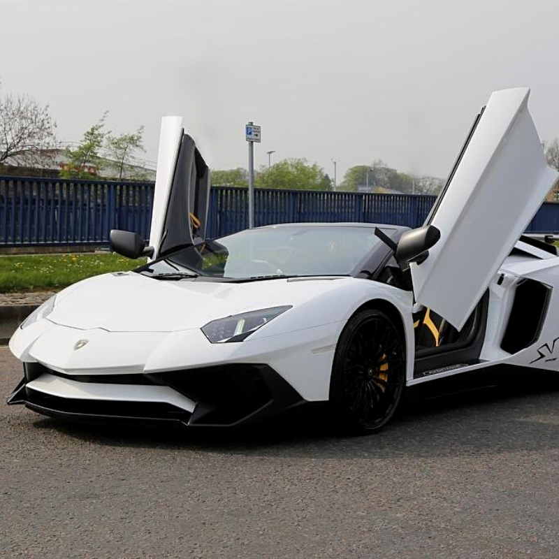 Detail Pictures Of White Lamborghinis Nomer 7