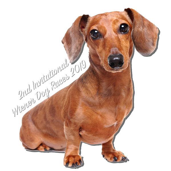 Detail Pictures Of Wiener Dogs Nomer 18
