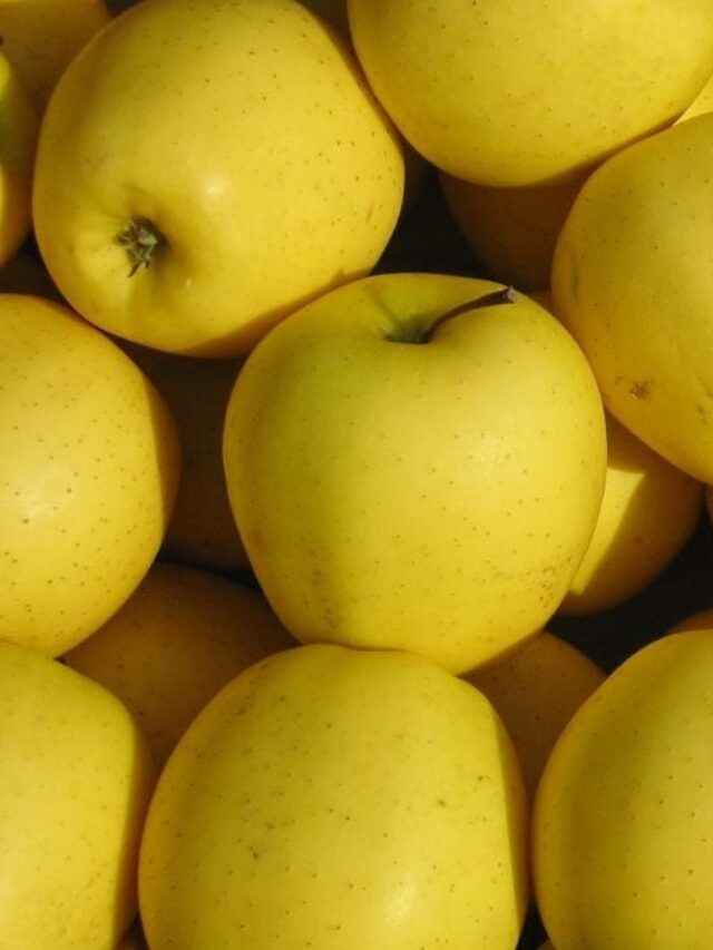 Detail Pictures Of Yellow Apples Nomer 30