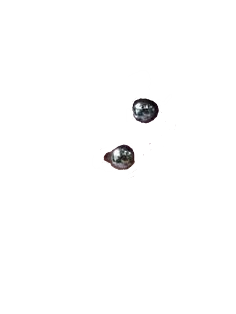 Detail Piercing Transparent Nomer 16