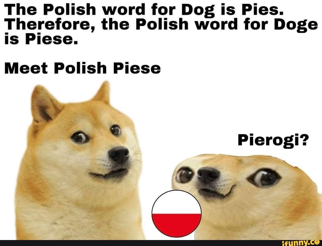 Detail Pierogi Doge Nomer 5