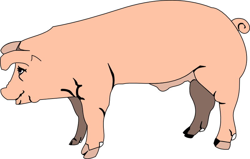 Detail Pig Clipart Nomer 41