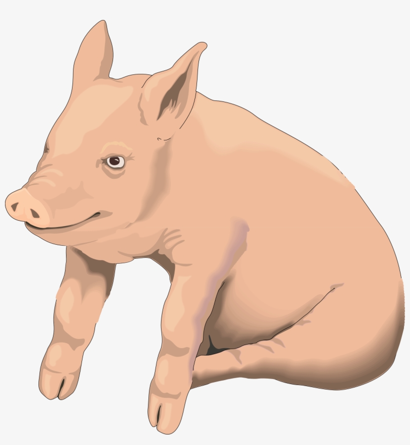 Detail Pig Clipart Transparent Nomer 46