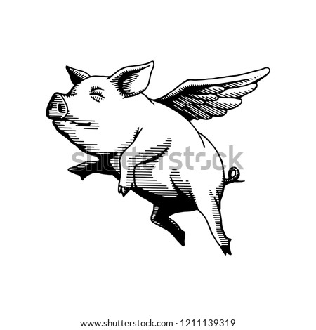 Detail Pig Flying Clipart Nomer 40