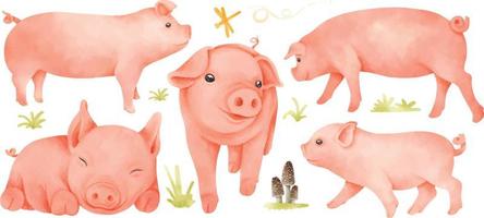 Detail Pig Images Free Nomer 38